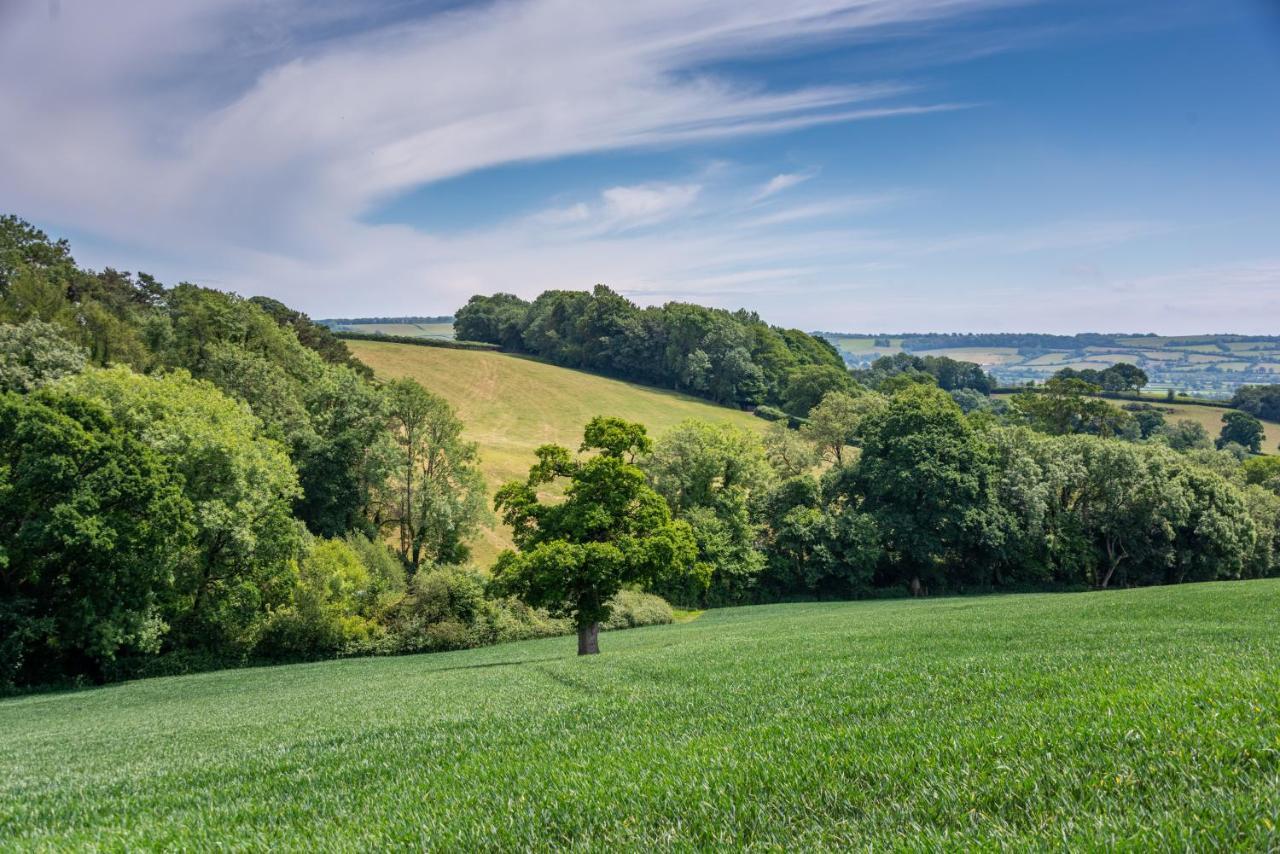 Valley Farm Holiday Cottages Аксмінстер Екстер'єр фото