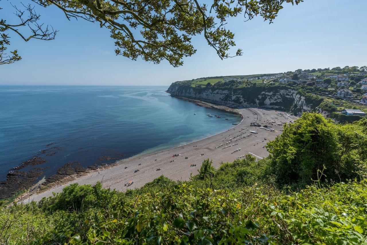 Valley Farm Holiday Cottages Аксмінстер Екстер'єр фото