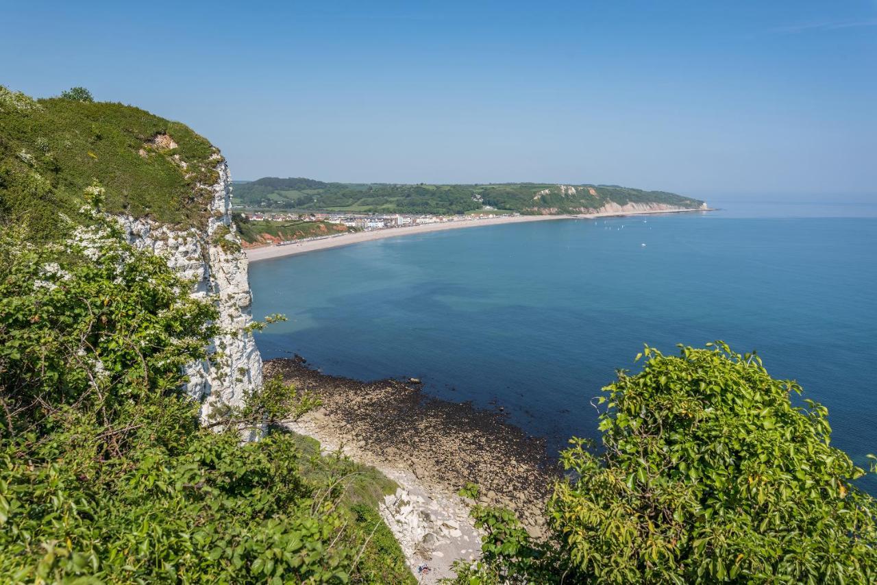 Valley Farm Holiday Cottages Аксмінстер Екстер'єр фото